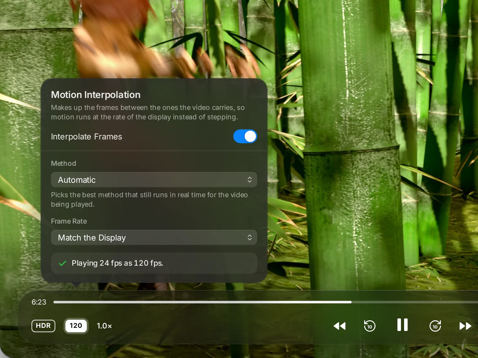 MacLC's motion settings